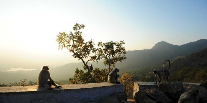 places-to-visit-mount-abu